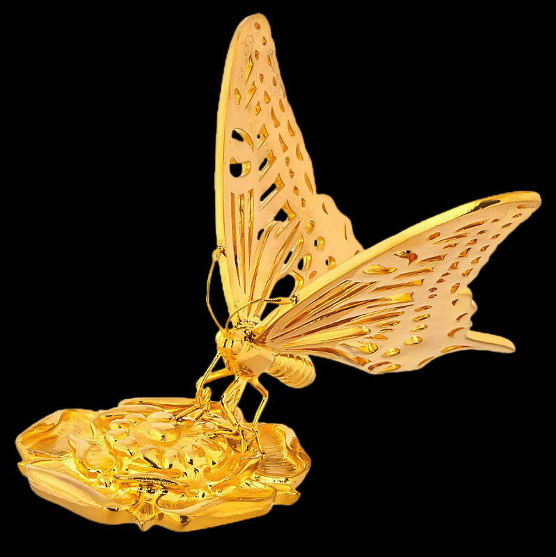 gold（ゴールド）_006